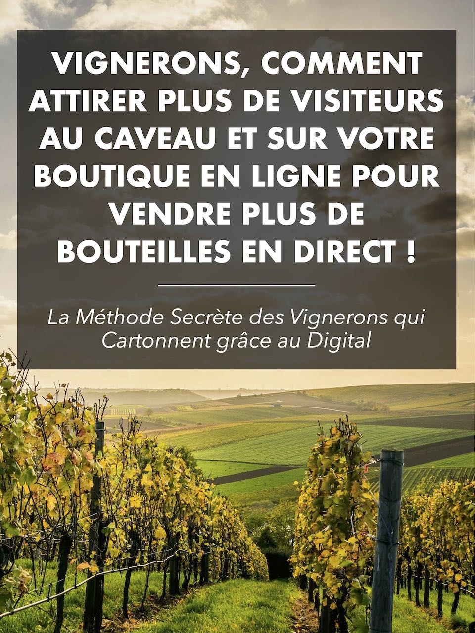 Livre Blanc : Vignerons, Comment Attirer Plus de Visiteurs au Caveau et sur votre Boutique en Ligne pour Vendre Plus de Vin en Direct !